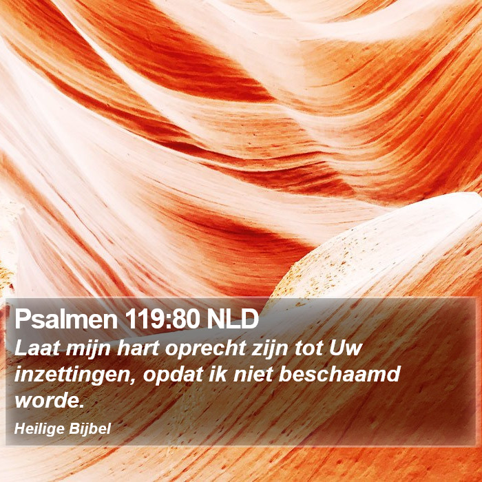 Psalmen 119:80 NLD Bible Study