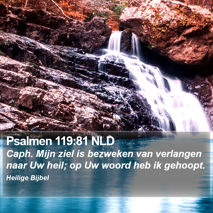 Psalmen 119:81 NLD Bible Study