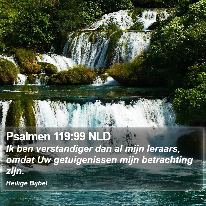 Psalmen 119:99 NLD Bible Study