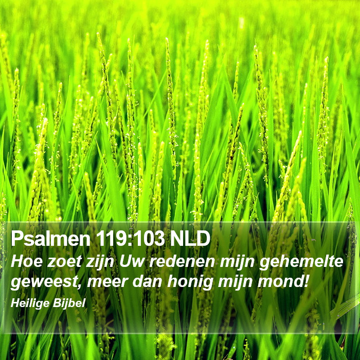 Psalmen 119:103 NLD Bible Study
