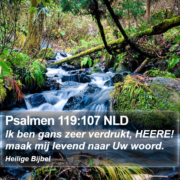 Psalmen 119:107 NLD Bible Study