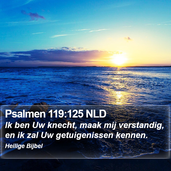 Psalmen 119:125 NLD Bible Study