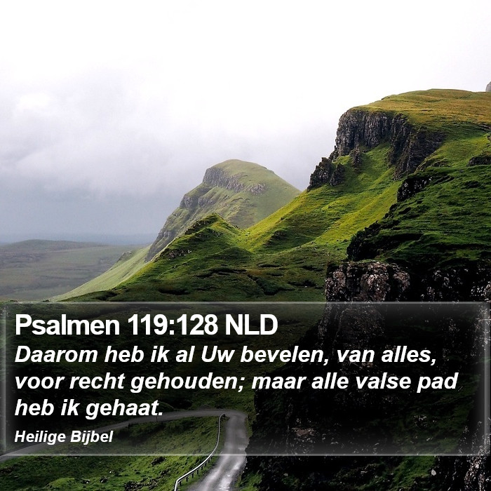 Psalmen 119:128 NLD Bible Study