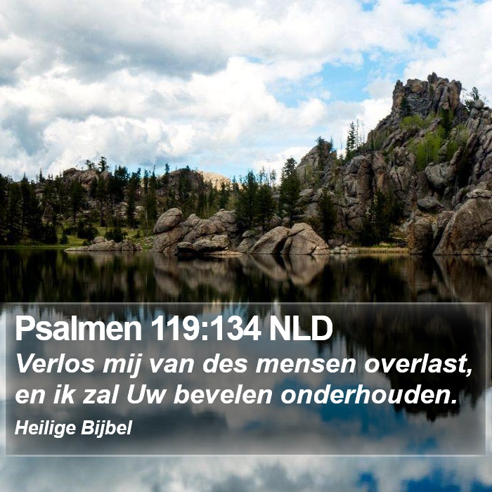 Psalmen 119:134 NLD Bible Study