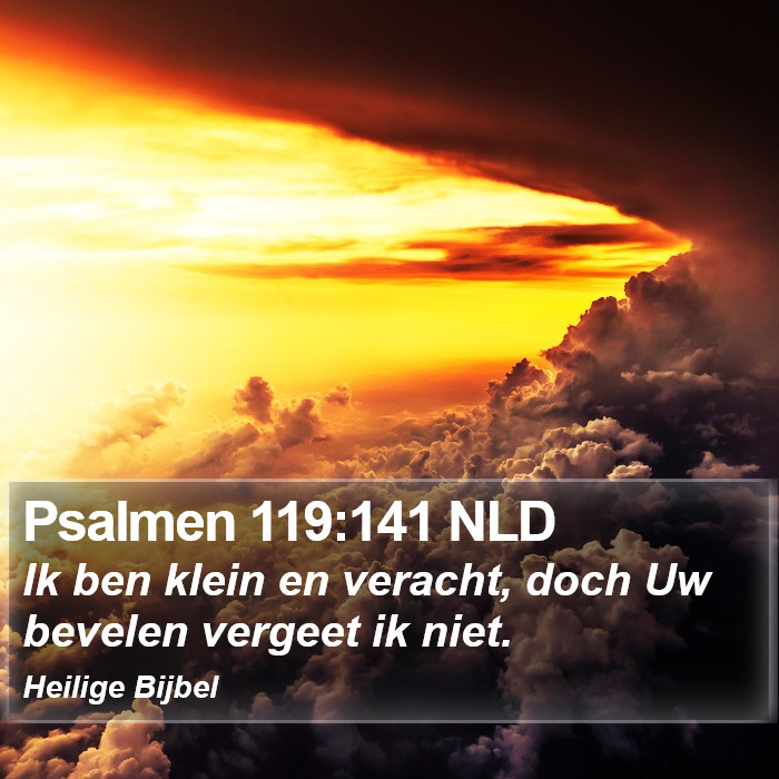 Psalmen 119:141 NLD Bible Study