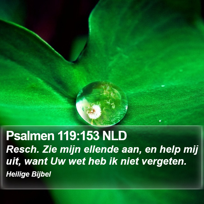 Psalmen 119:153 NLD Bible Study