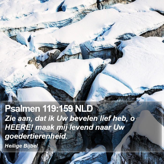 Psalmen 119:159 NLD Bible Study