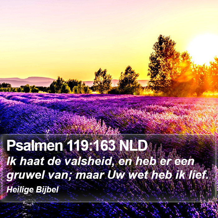 Psalmen 119:163 NLD Bible Study