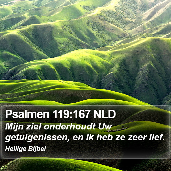 Psalmen 119:167 NLD Bible Study