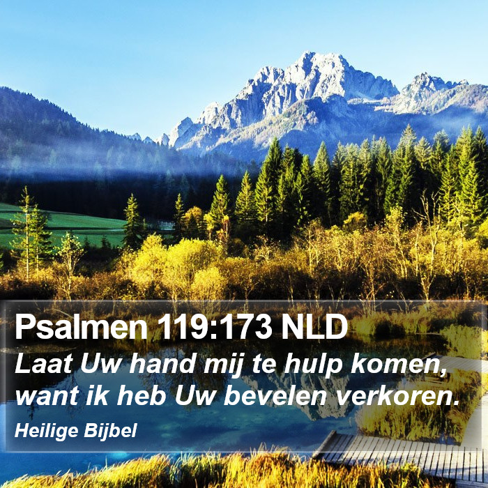 Psalmen 119:173 NLD Bible Study