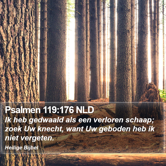 Psalmen 119:176 NLD Bible Study