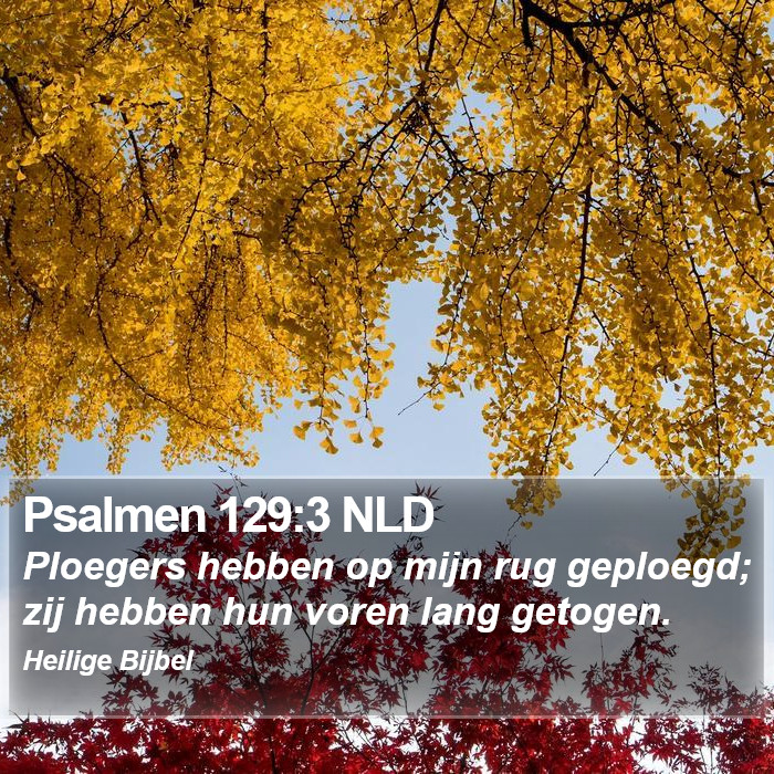 Psalmen 129:3 NLD Bible Study