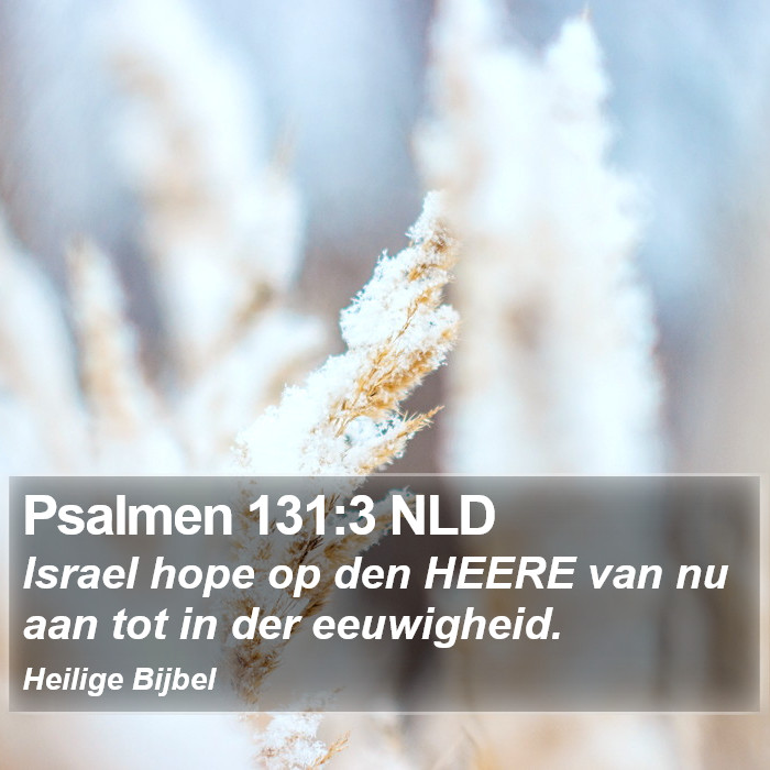 Psalmen 131:3 NLD Bible Study