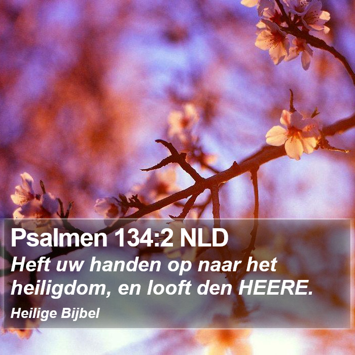Psalmen 134:2 NLD Bible Study