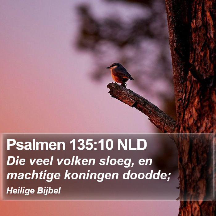 Psalmen 135:10 NLD Bible Study
