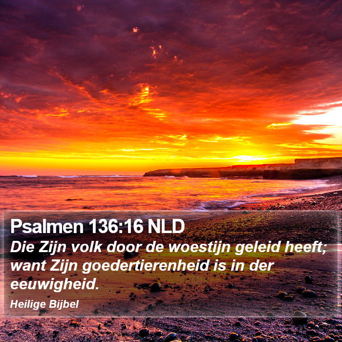 Psalmen 136:16 NLD Bible Study