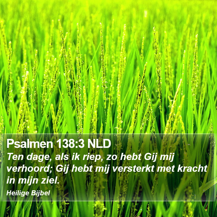 Psalmen 138:3 NLD Bible Study
