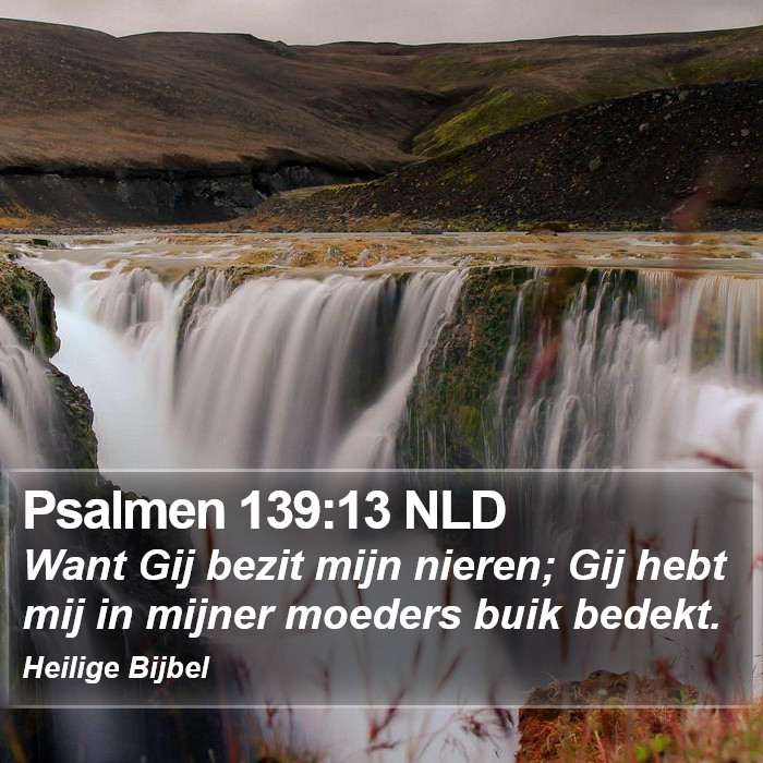 Psalmen 139:13 NLD Bible Study