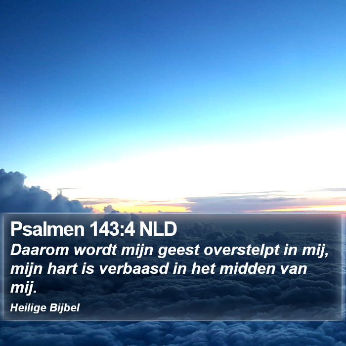 Psalmen 143:4 NLD Bible Study