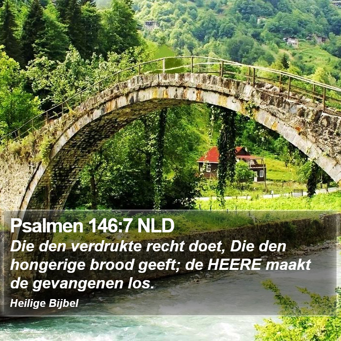Psalmen 146:7 NLD Bible Study