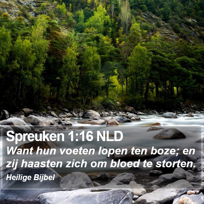 Spreuken 1:16 NLD Bible Study