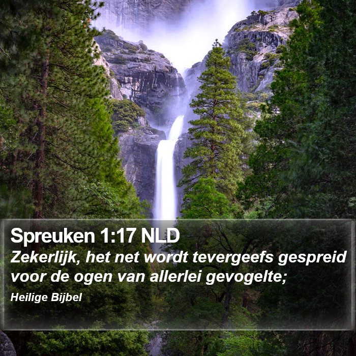 Spreuken 1:17 NLD Bible Study