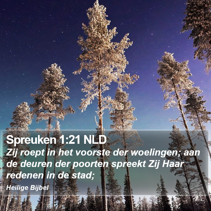 Spreuken 1:21 NLD Bible Study