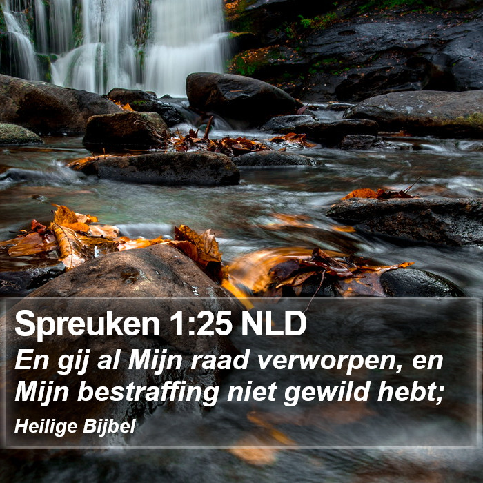 Spreuken 1:25 NLD Bible Study