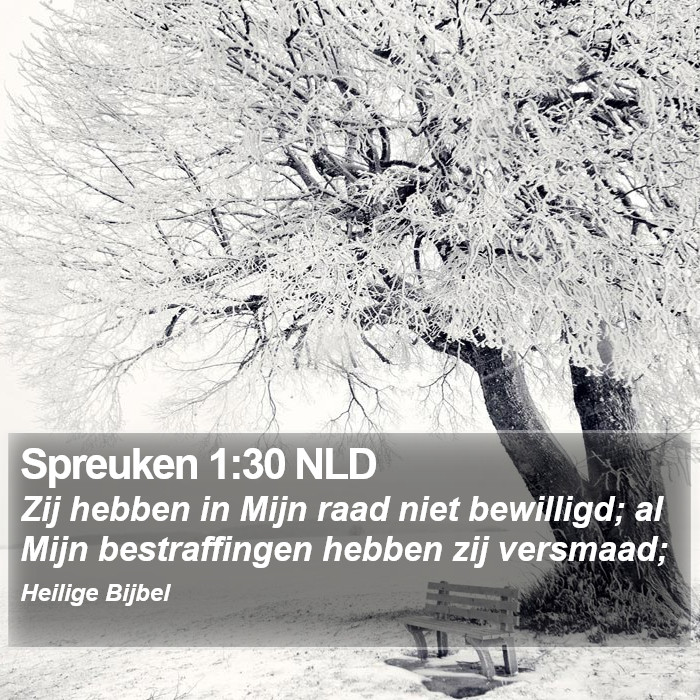 Spreuken 1:30 NLD Bible Study