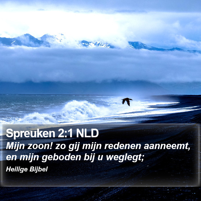 Spreuken 2:1 NLD Bible Study