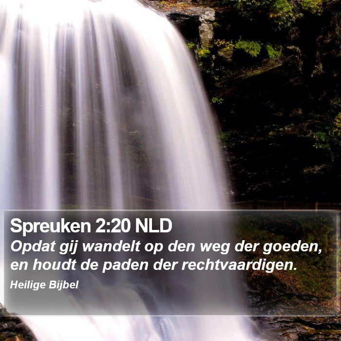 Spreuken 2:20 NLD Bible Study