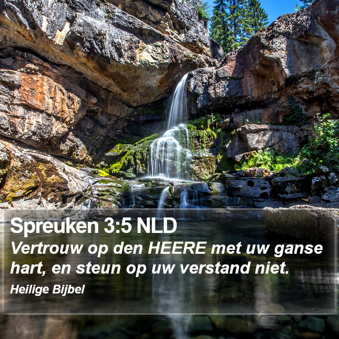 Spreuken 3:5 NLD Bible Study