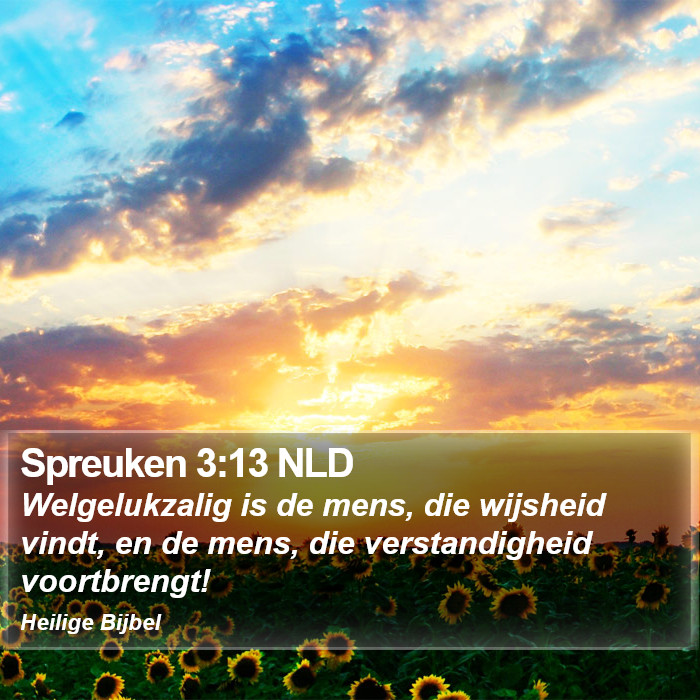 Spreuken 3:13 NLD Bible Study