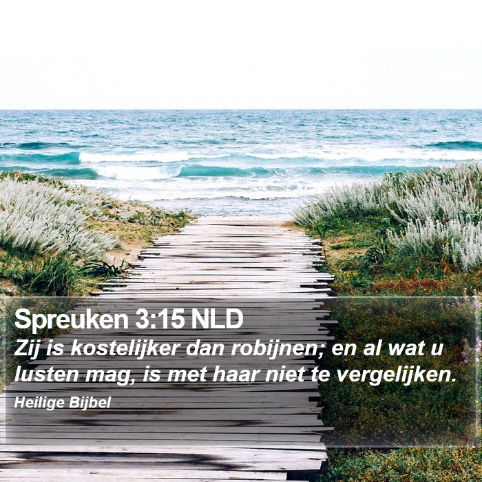 Spreuken 3:15 NLD Bible Study