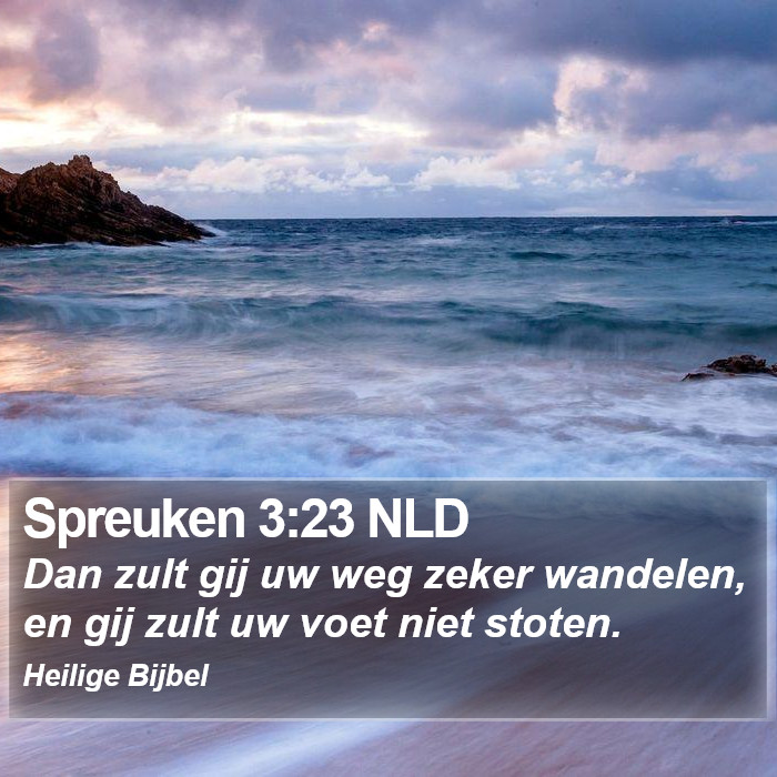 Spreuken 3:23 NLD Bible Study