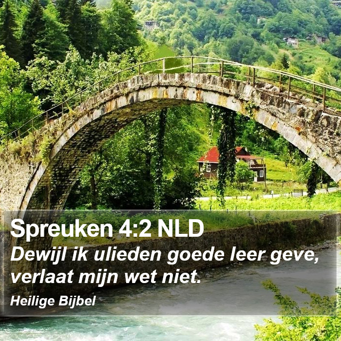 Spreuken 4:2 NLD Bible Study