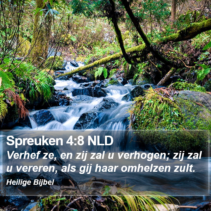 Spreuken 4:8 NLD Bible Study