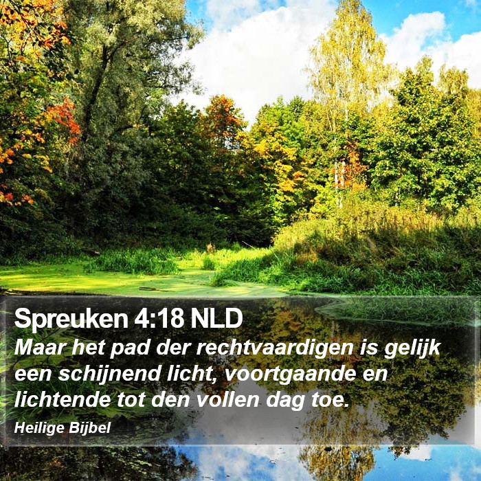 Spreuken 4:18 NLD Bible Study