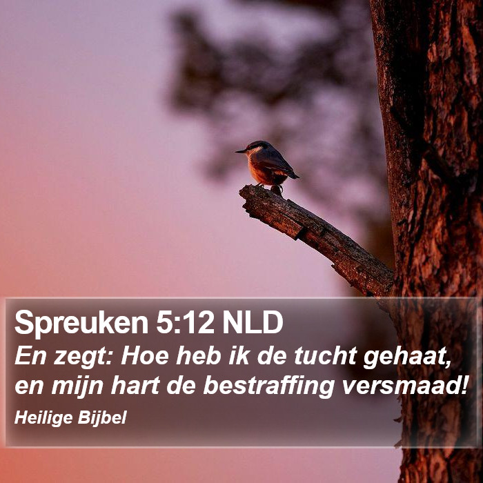 Spreuken 5:12 NLD Bible Study