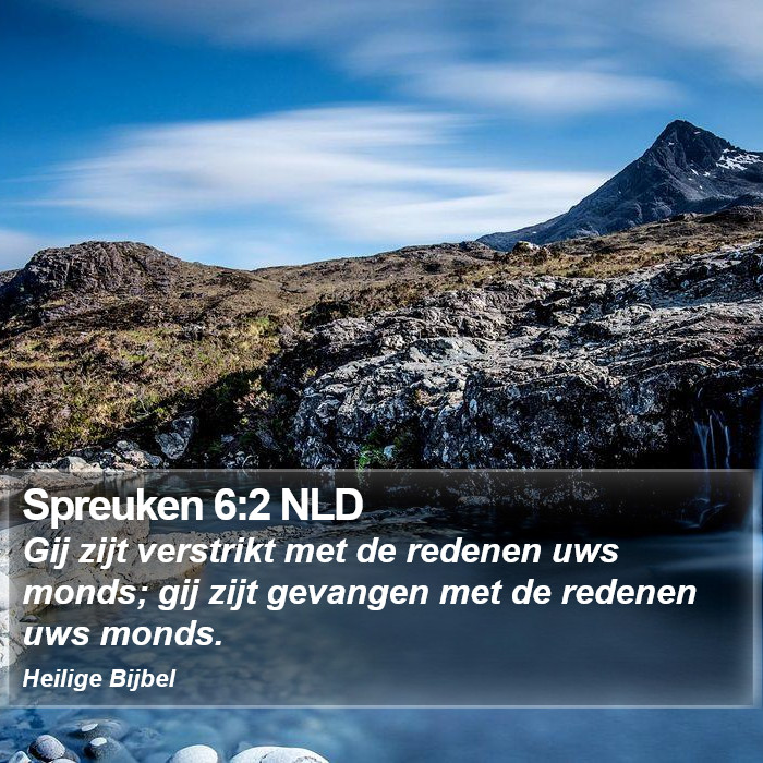 Spreuken 6:2 NLD Bible Study