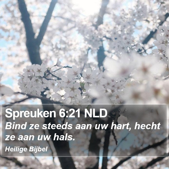 Spreuken 6:21 NLD Bible Study