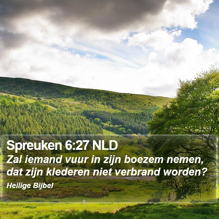 Spreuken 6:27 NLD Bible Study