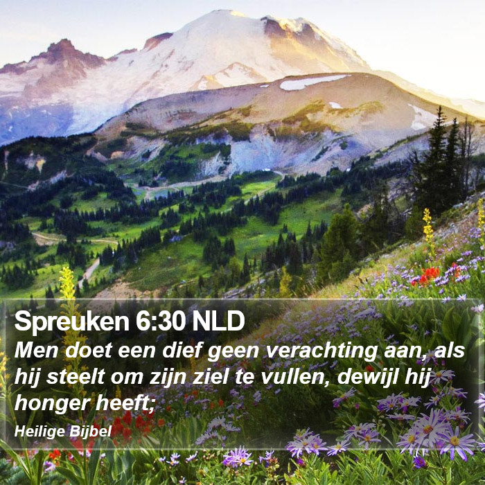 Spreuken 6:30 NLD Bible Study