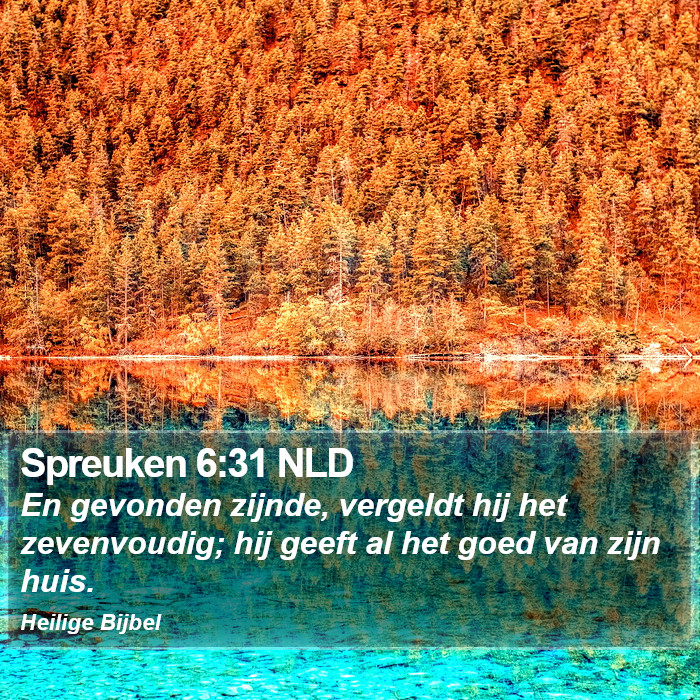 Spreuken 6:31 NLD Bible Study