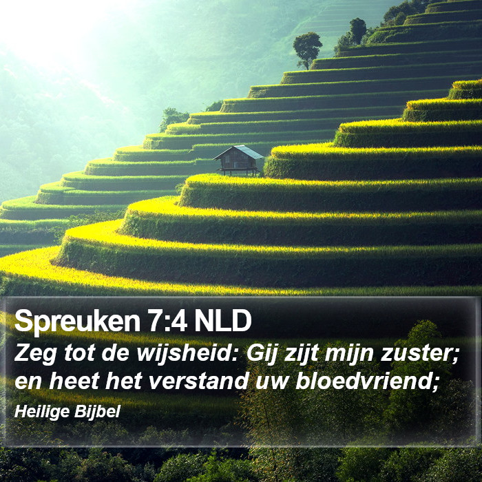 Spreuken 7:4 NLD Bible Study