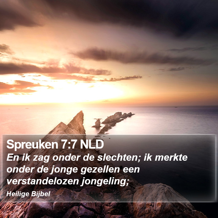 Spreuken 7:7 NLD Bible Study