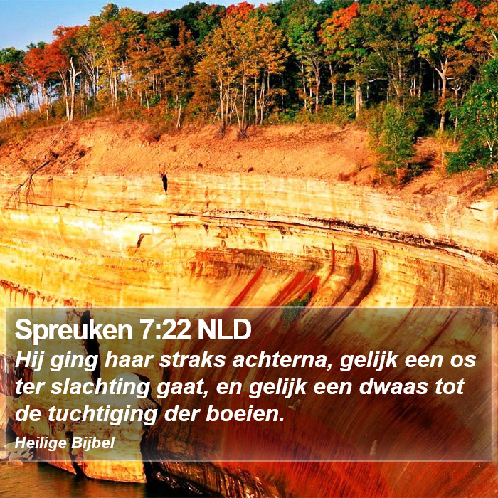 Spreuken 7:22 NLD Bible Study