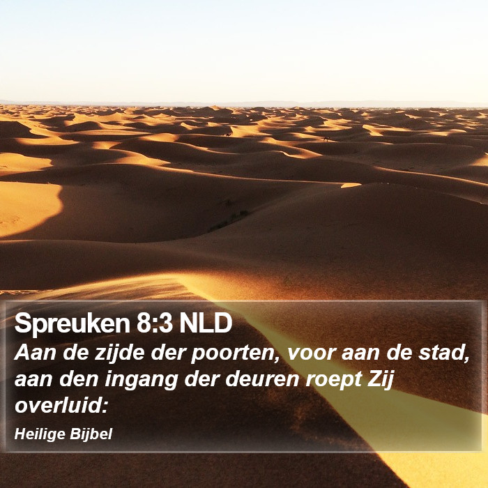 Spreuken 8:3 NLD Bible Study