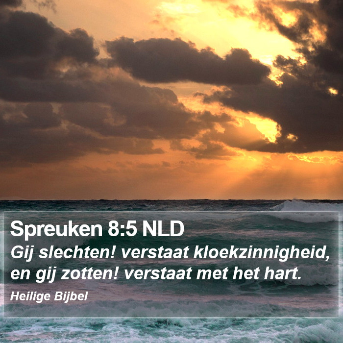 Spreuken 8:5 NLD Bible Study