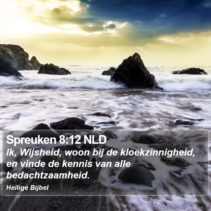 Spreuken 8:12 NLD Bible Study